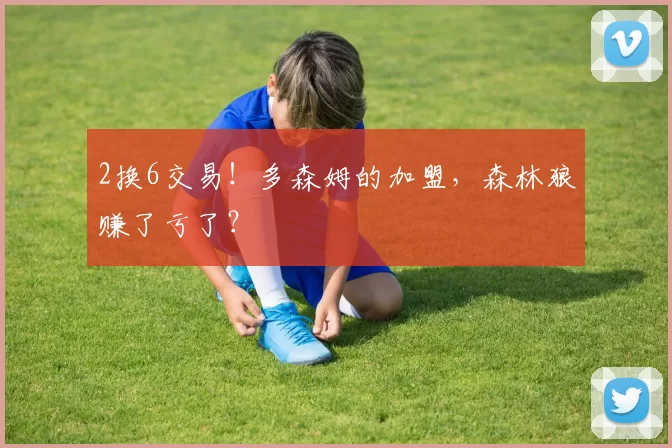 2换6交易！多森姆的加盟，森林狼赚了亏了？