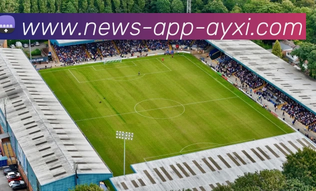 爱游戏AYX平台生态图