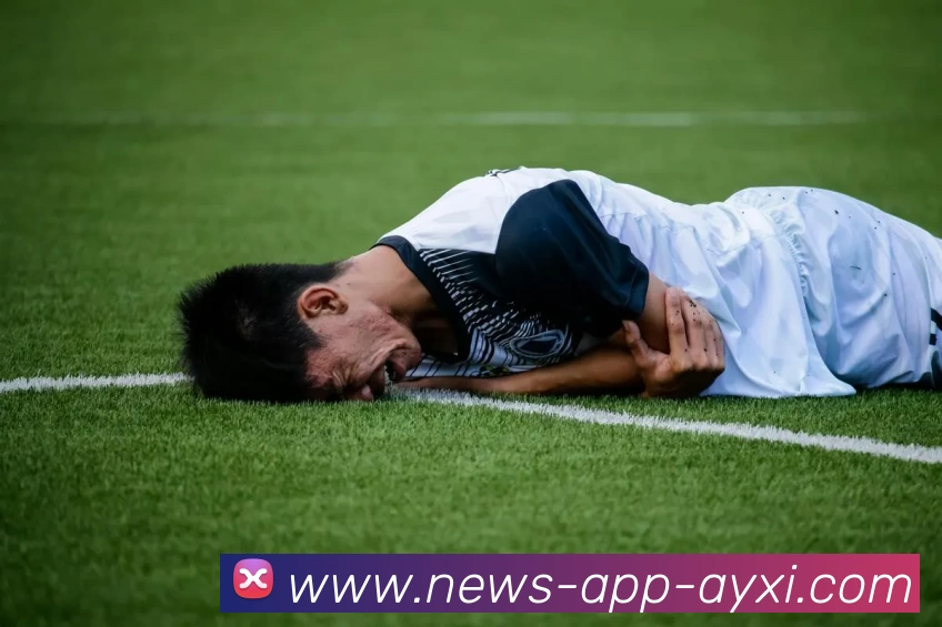 爱游戏AYX全站App